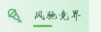 巅峰联盟